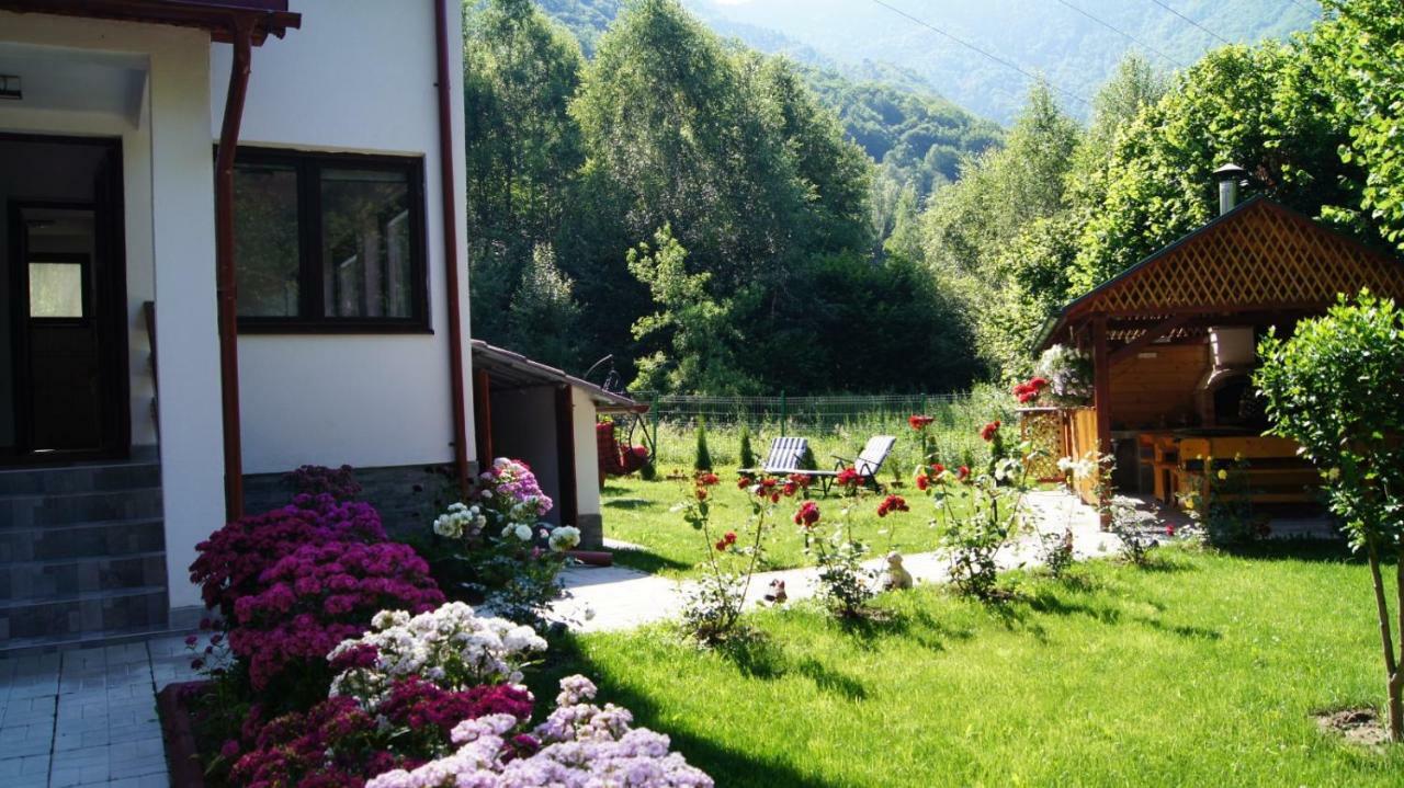 Cabana Nisipoasa Rîu de Mori Extérieur photo